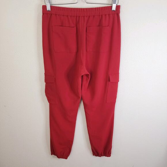 Theory Northsound Solid Cargo Joggers Pants Admiral Crepe Rust Size 4 - Picture 2 of 7